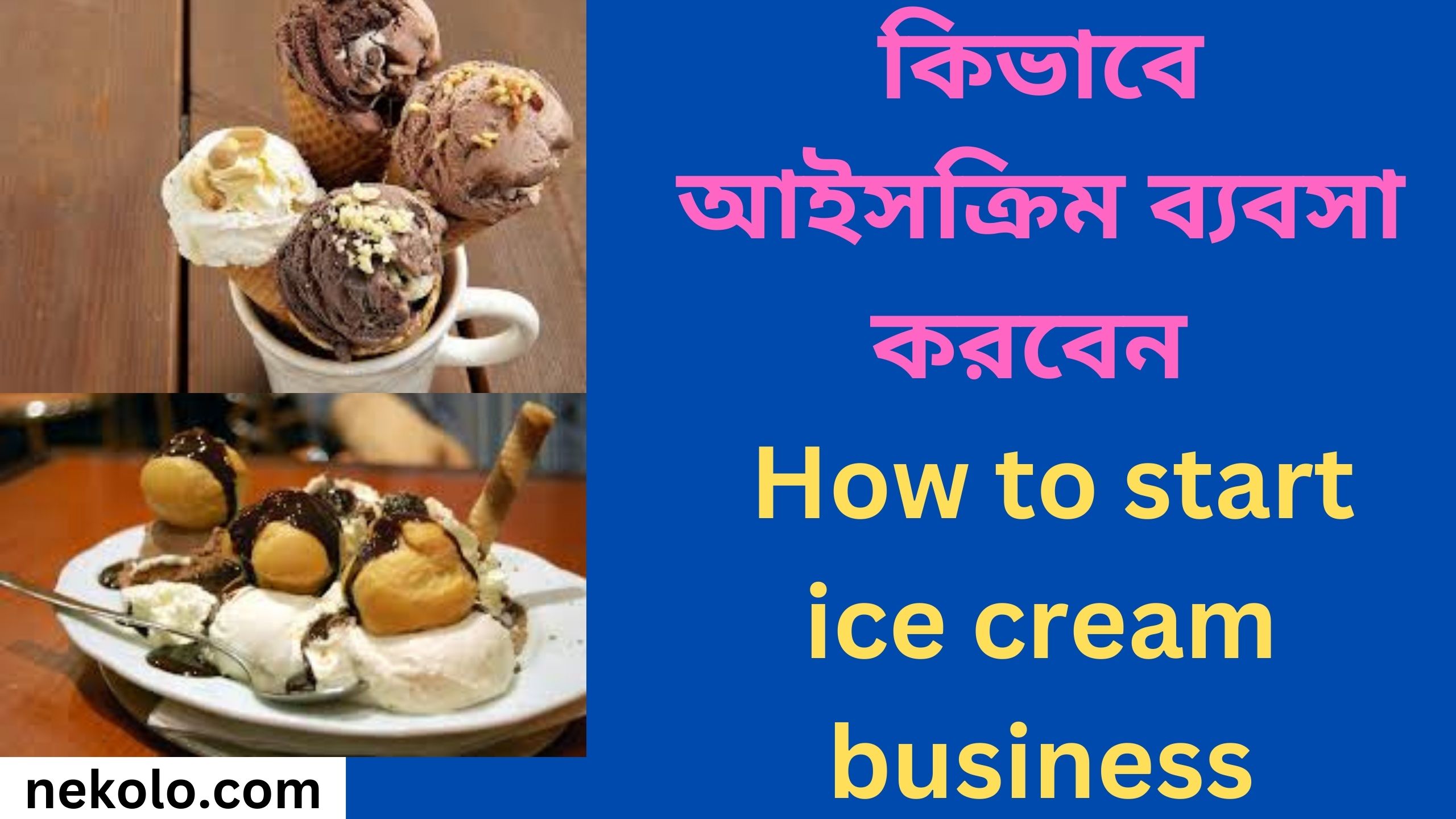 কিভাবে আইসক্রিম ব্যবসা করবেন How to start ice cream business